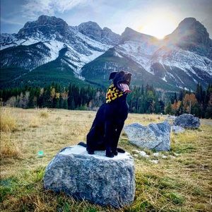 Meet your Posher, Jillian